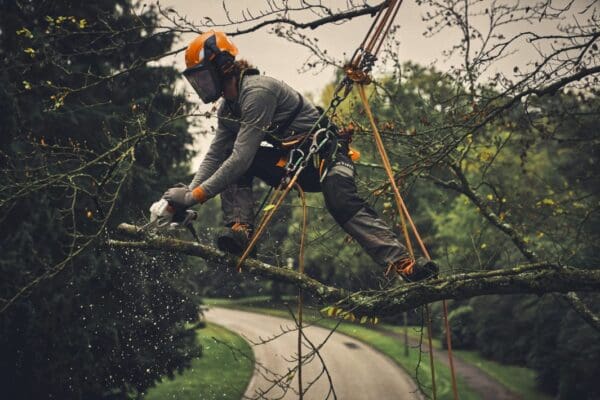 STIHL akumulatorska ručna pila GTA 40 - Slika 14